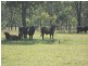 535 Palms Road, Cooyar QLD 4402