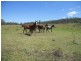 535 Palms Road, Cooyar QLD 4402
