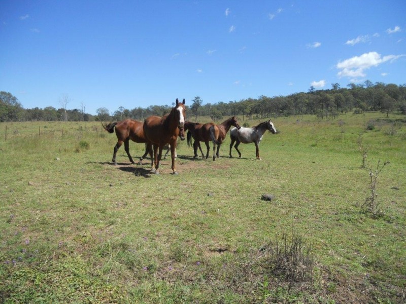 535 Palms Road, Cooyar QLD 4402