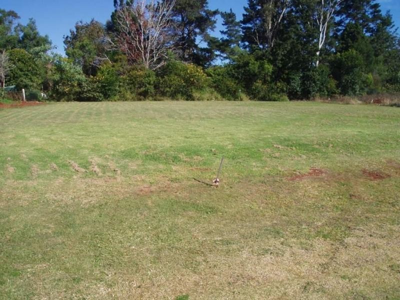 12 Coleman Drive, Middle Ridge QLD 4350