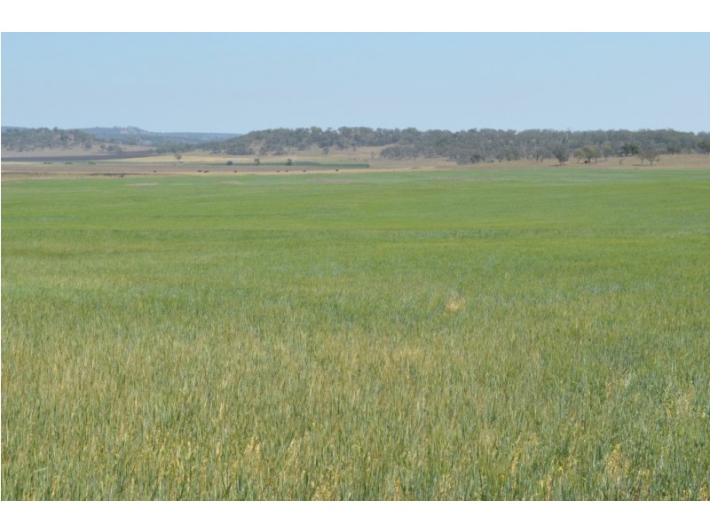 127 Greenup Road, Cambooya QLD 4358