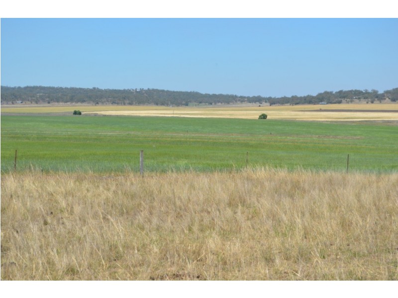 127 Greenup Road, Cambooya QLD 4358