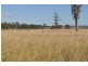 Pittsworth QLD 4356