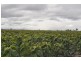 Pittsworth QLD 4356