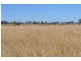 Pittsworth QLD 4356