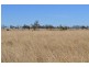 Pittsworth QLD 4356