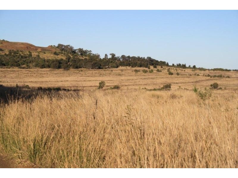 331 Tummaville Road, Pittsworth QLD 4356