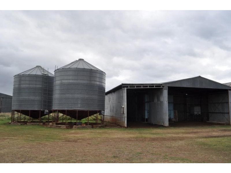 331 Tummaville Road, Pittsworth QLD 4356