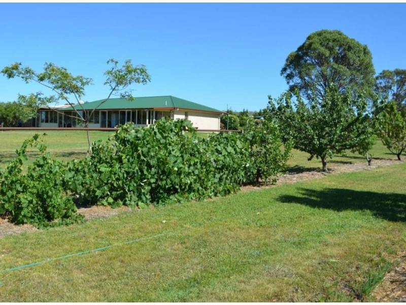 928 Felton Clifton Road, Nobby QLD 4360