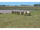 928 Felton Clifton Road, Nobby QLD 4360