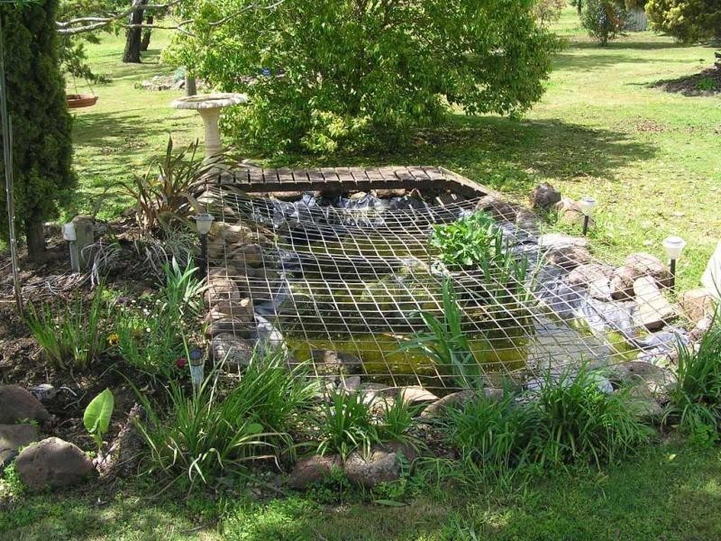 319 Wyreema Cambooya Road, Wyreema QLD 4352