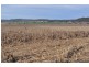 Mount Tyson QLD 4356