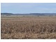 Mount Tyson QLD 4356