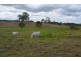 Lot 2 Marshall Road, Crows Nest QLD 4355