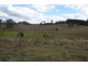 Lot 2 Marshall Road, Crows Nest QLD 4355