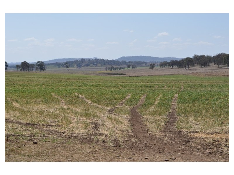 Willerren Wyreema Athol Road, Wyreema QLD 4352