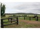 1163 Cudmore Road, Cambooya QLD 4358
