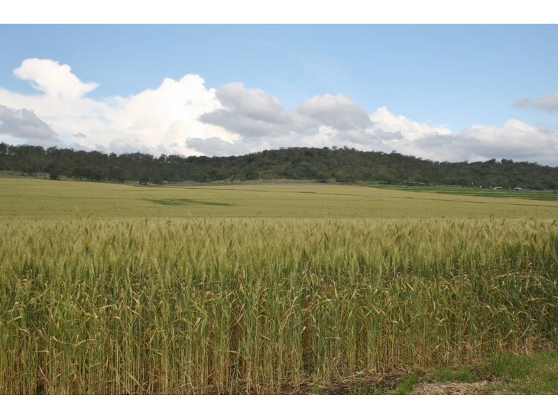 1163 Cudmore Road, Cambooya QLD 4358