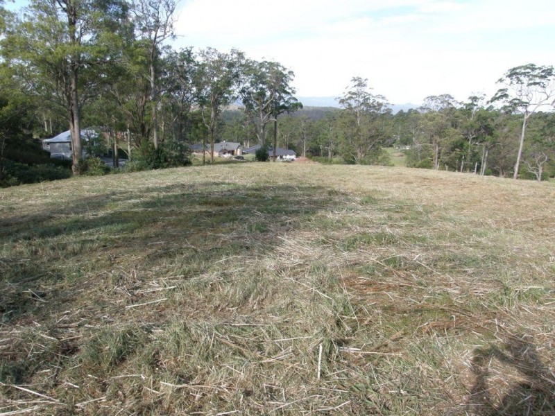 7 Guido Avenue, Blue Mountain Heights QLD 4350