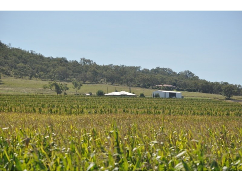 Lamor-Lea 202 Mount Molar Rd, Clifton QLD 4361