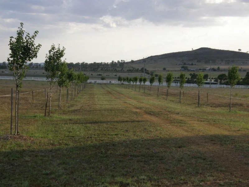 186 Bunkers Hill School Road, Westbrook QLD 4350