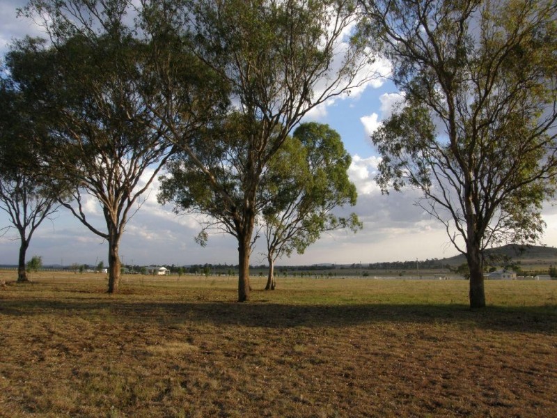 186 Bunkers Hill School Road, Westbrook QLD 4350