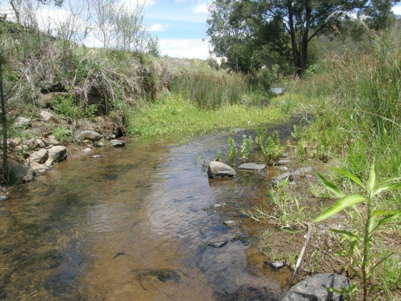 1778 Murphys Creek Road, Murphys Creek QLD 4352