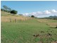 387 Muniganeen Road, Meringandan West QLD 4352