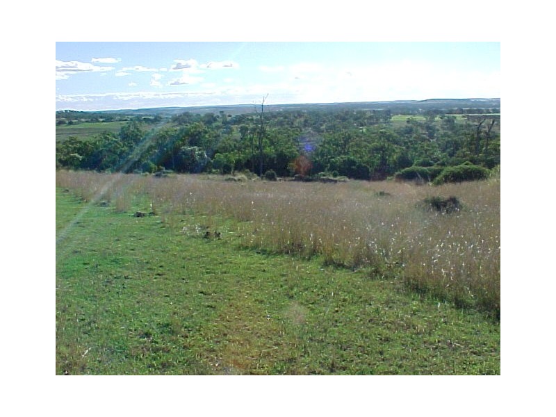 387 Muniganeen Road, Meringandan West QLD 4352