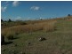387 Muniganeen Road, Meringandan West QLD 4352