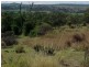 387 Muniganeen Road, Meringandan West QLD 4352