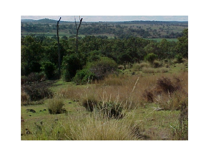 387 Muniganeen Road, Meringandan West QLD 4352