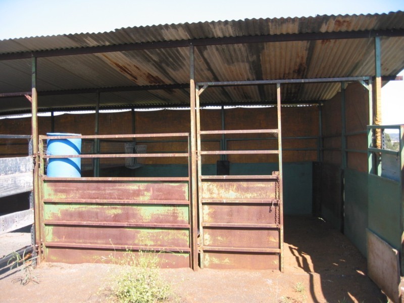 Wellcamp QLD 4350
