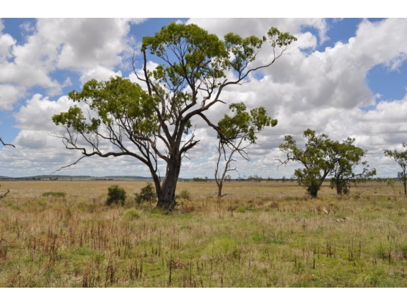 Oakey QLD 4401