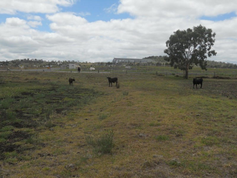 156 Heinemann Road, Wellcamp QLD 4350