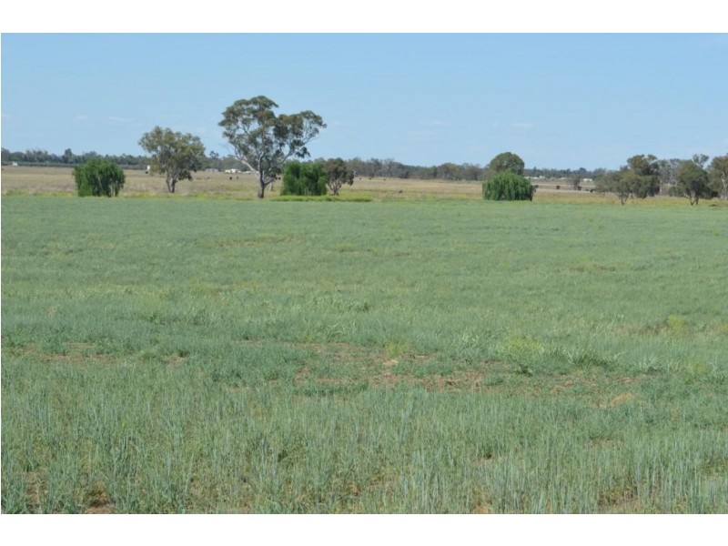 499 Kearney Road, Oakey QLD 4401