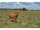 494 Rossvale Road West, Pittsworth QLD 4356