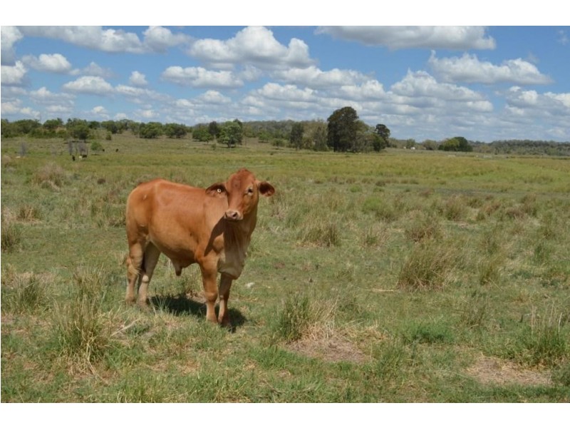 494 Rossvale Road West, Pittsworth QLD 4356