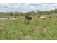 494 Rossvale Road West, Pittsworth QLD 4356