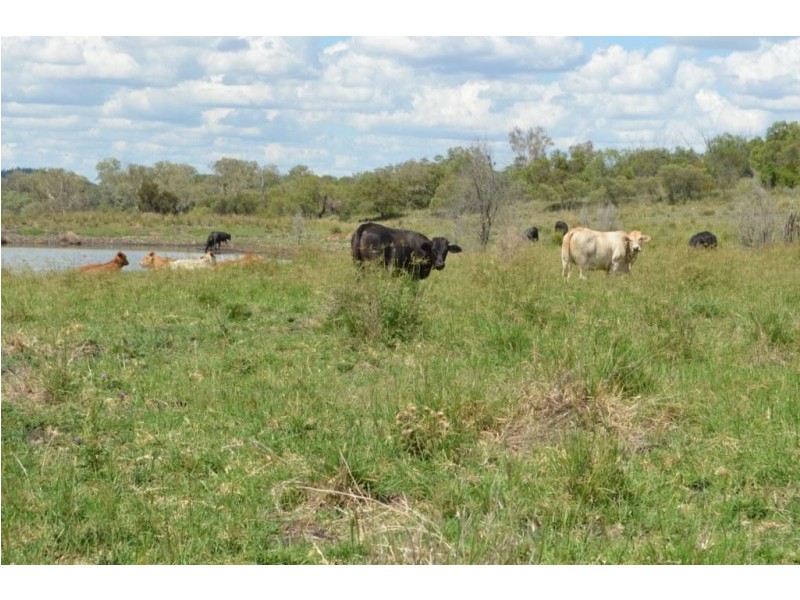 494 Rossvale Road West, Pittsworth QLD 4356
