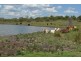 494 Rossvale Road West, Pittsworth QLD 4356