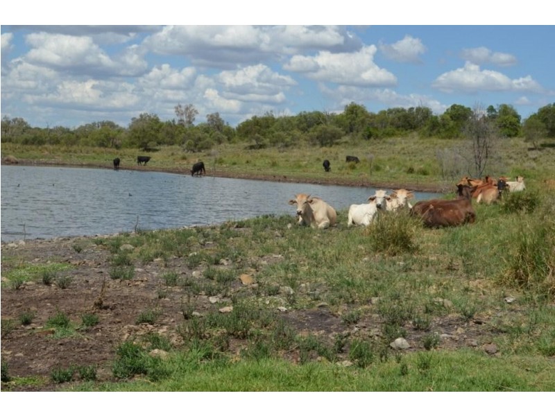 494 Rossvale Road West, Pittsworth QLD 4356