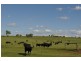Biddeston QLD 4401