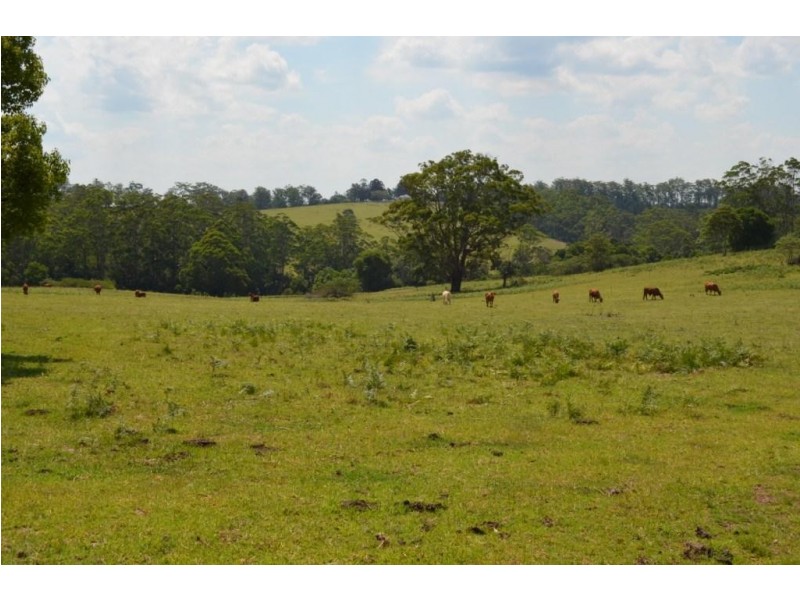 Lot 118 Taylor Road, Ravensbourne QLD 4352