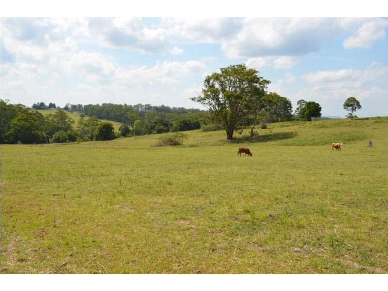 Lot 118 Taylor Road, Ravensbourne QLD 4352