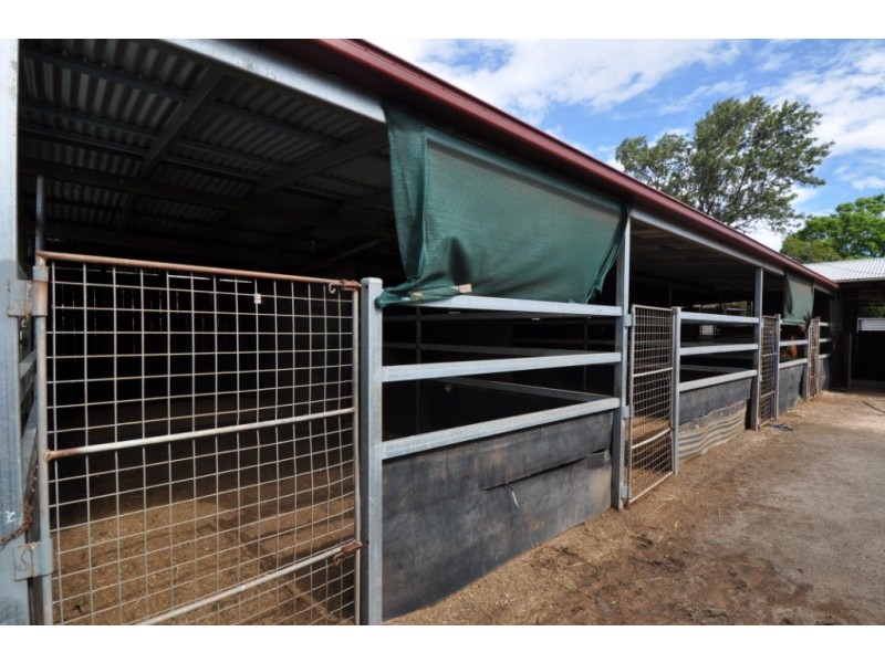 Newtown QLD 4350