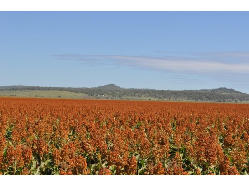 3460 Toowoomba Karara Road, Felton South QLD 4358