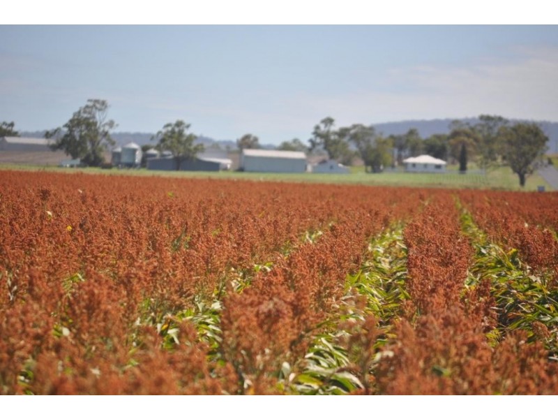 3460 Toowoomba Karara Road, Felton South QLD 4358