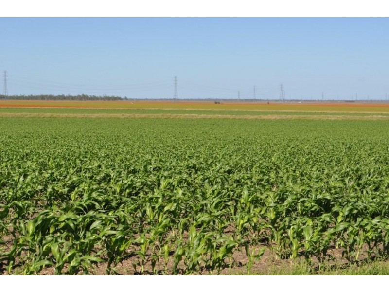 3460 Toowoomba Karara Road, Felton South QLD 4358