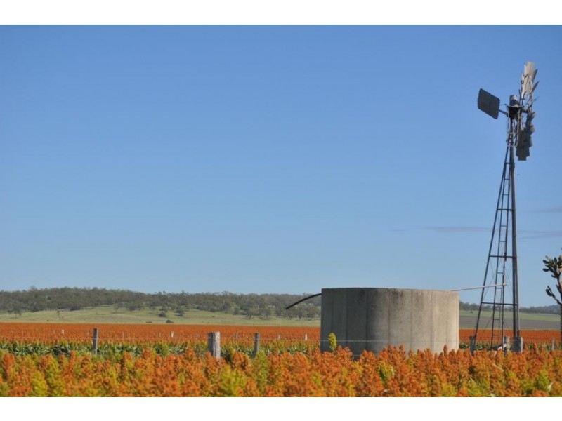 3460 Toowoomba Karara Road, Felton South QLD 4358